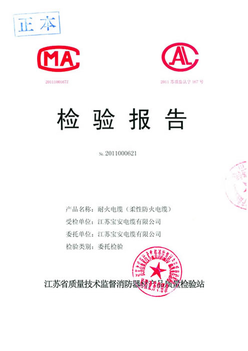 檢測報(bào)告2