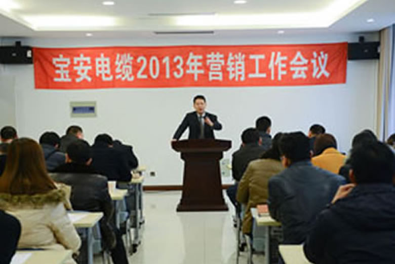 寶安電纜2013年?duì)I銷(xiāo)工作會(huì)議隆重召開(kāi)