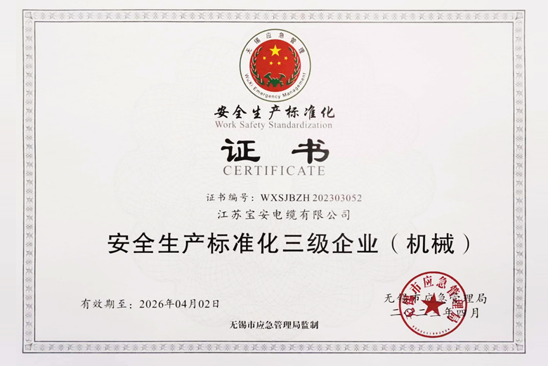 寶安電纜被評(píng)定為“安全生產(chǎn)標(biāo)準(zhǔn)化三級(jí)企業(yè)”