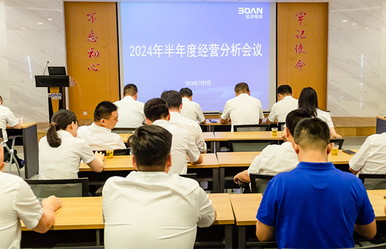 江蘇寶安控股集團(tuán)召開2024年半年度經(jīng)營分析會議