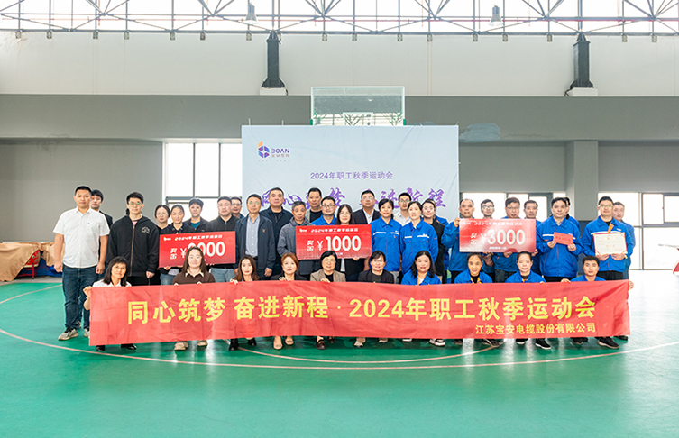 同心筑夢(mèng) 奮進(jìn)新程——寶安控股2024年職工秋季運(yùn)動(dòng)會(huì)圓滿舉辦